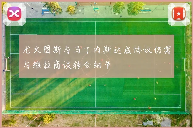 尤文图斯与马丁内斯达成协议仍需与维拉商谈转会细节