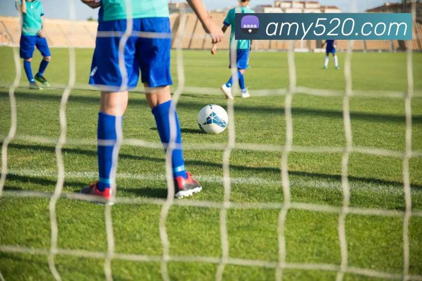 奖项证书